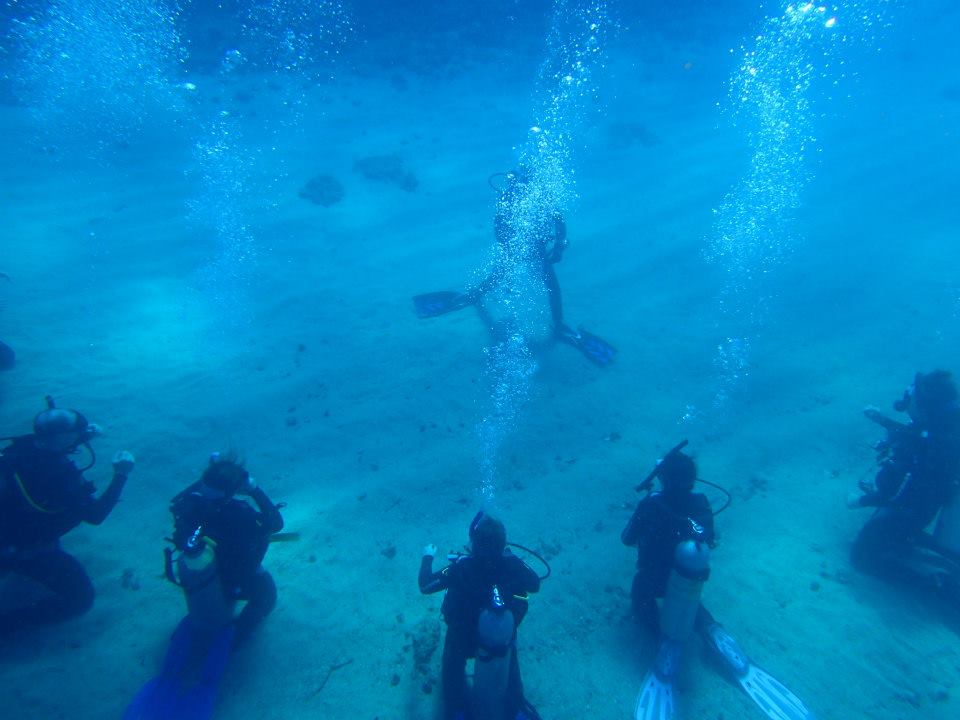 PADI Scuba Diving Brisbane