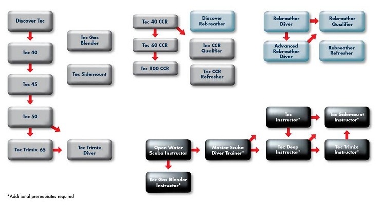 Tec Flowchart 06Mar2012