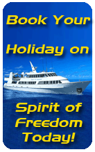 Book for Spirit Of Freedom